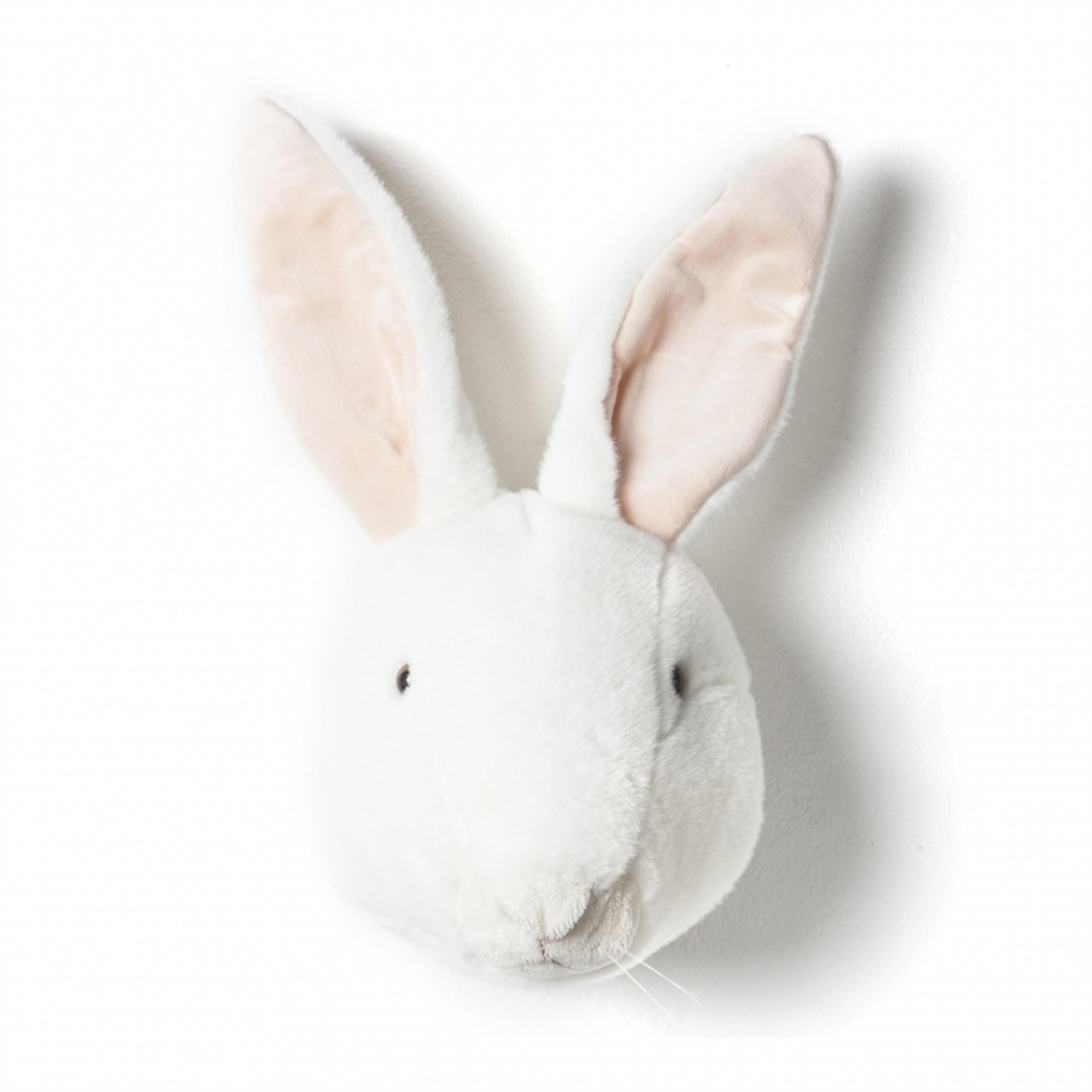 Bonys peluche lapin