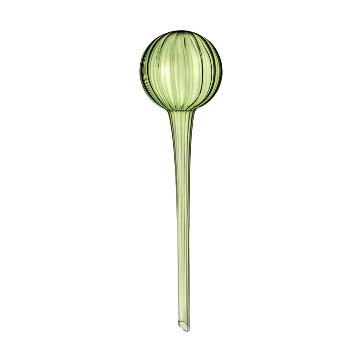 Système d'auto-arrosage Muurla 28 cm - Vert - Muurla