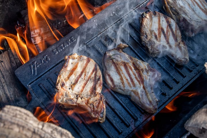 Planche à griller Satake pour barbecue, 23x42 cm Satake