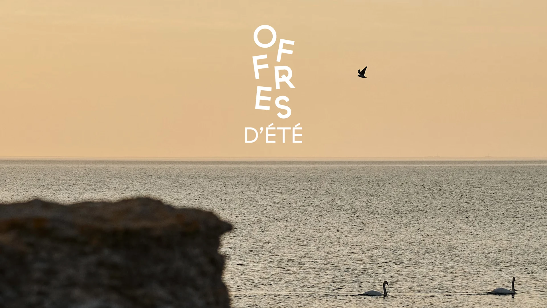 Mer calme sous un ciel orangé avec deux cygnes, un oiseau en vol, et le texte "OFFRES D'ÉTÉ".
