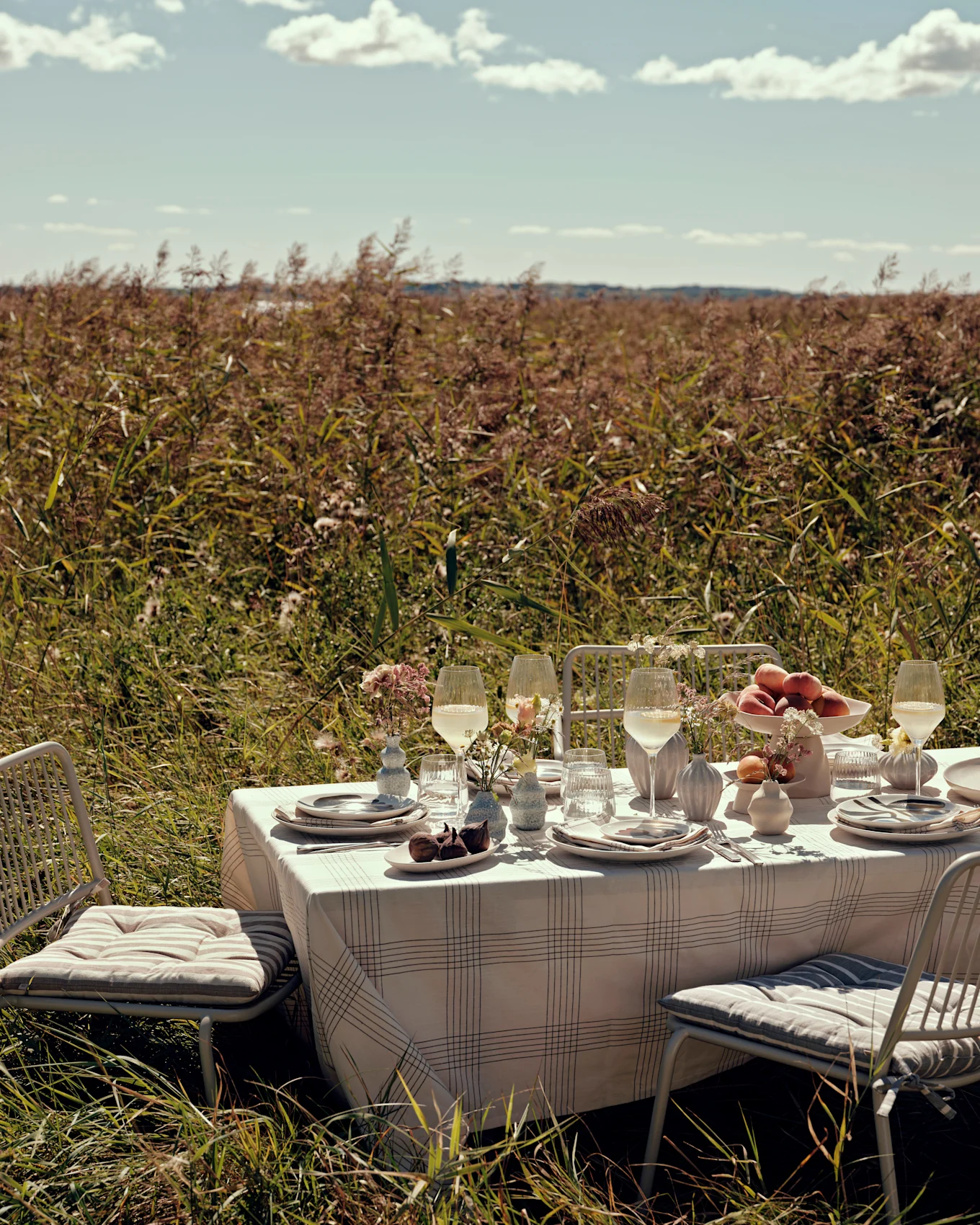 Table à manger extérieure dressée avec chaises blanches, nappe à carreaux, assiettes, verres, pêches et figues, dans un champ d'herbe.